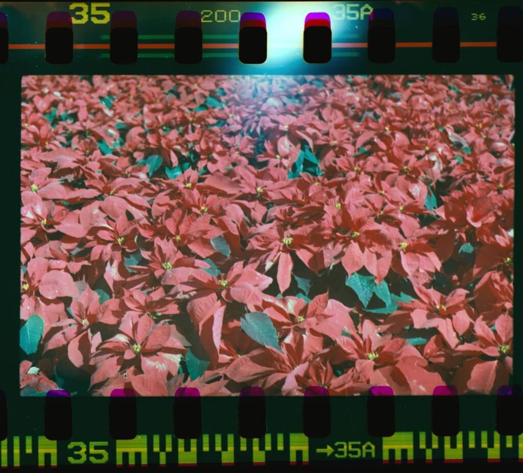Photography Portfolio - Improbable Film