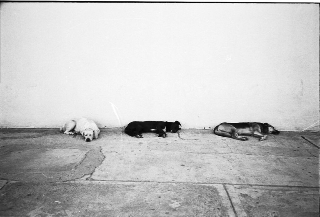 Photography Portfolio - Improbable Film