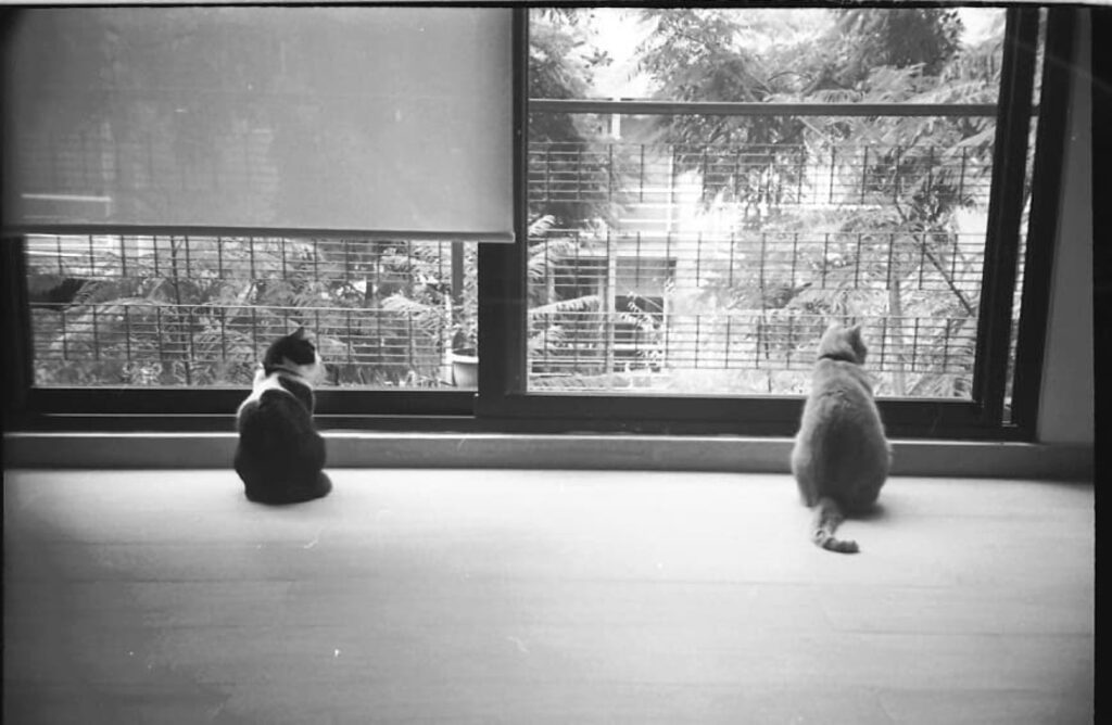 Photography Portfolio - Improbable Film