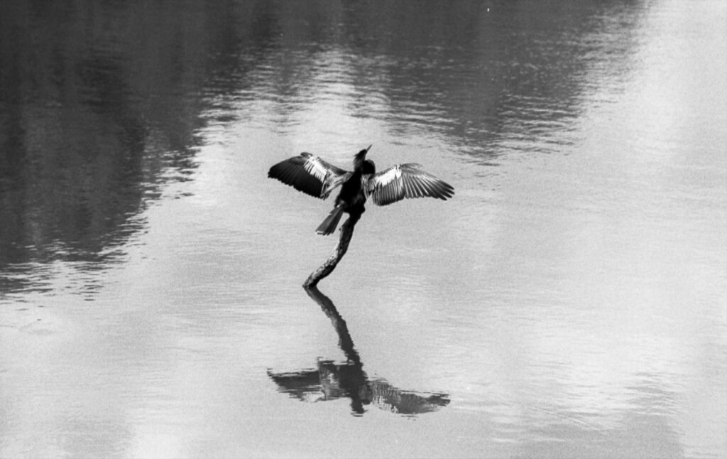Photography Portfolio - Improbable Film