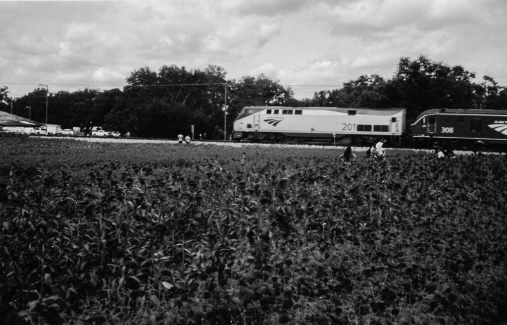Photography Portfolio - Improbable Film